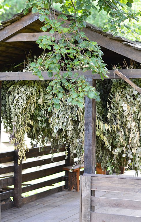 «У мисливстві, як і в усій лісовій галузі, не буває швидкого повернення вкладень»,  – головний лісівник Волині