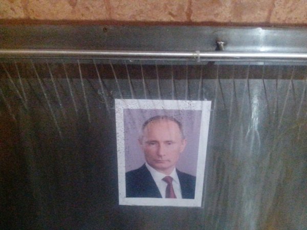 У Луцьку портрет Путіна приліпили в пісуар. ФОТО