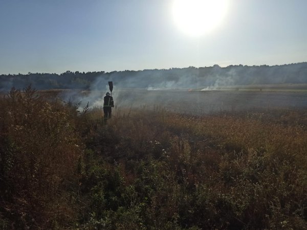 На Волині горіли суха трава та сміття