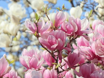 Погода в Луцьку та Волинській області на вівторок, 28 квітня