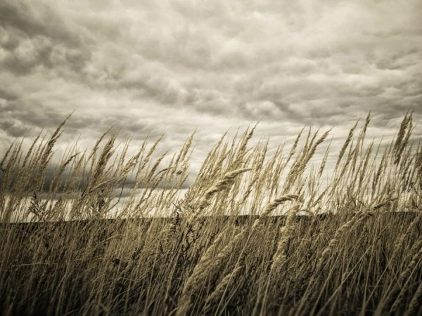 Фотовиставка Тараса Маркіна