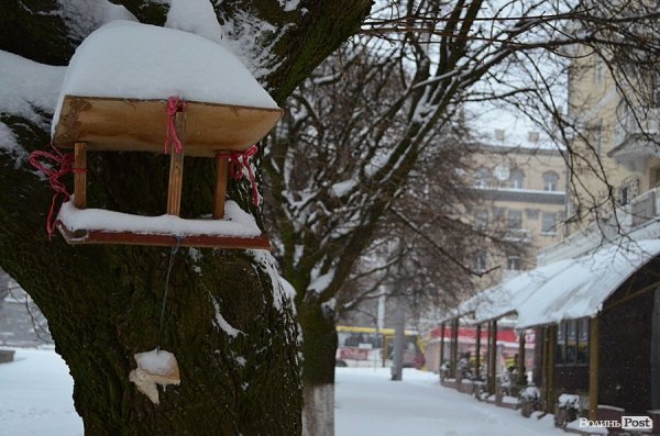 Луцьк замітає снігом. ФОТО