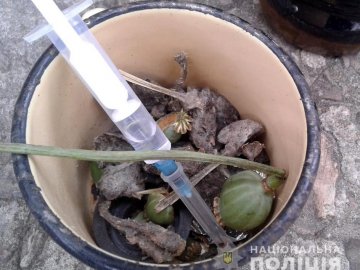 На Волині жінки організували банду для наркоторгівлі