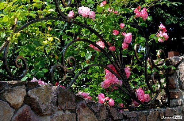 Фотопогляд: старий Луцьк 