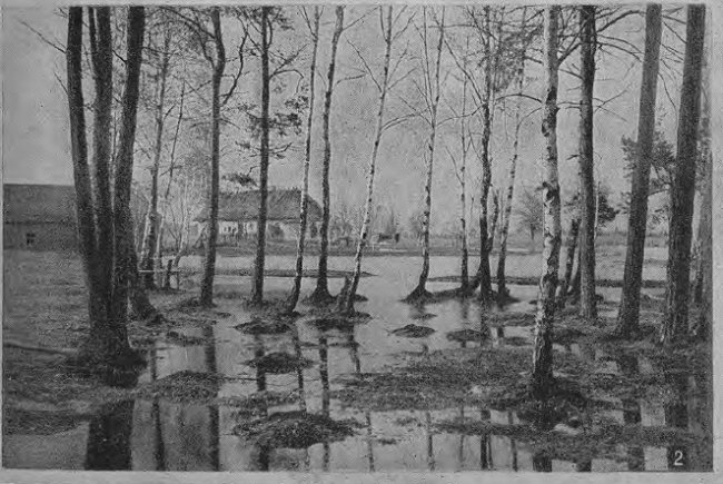 Вид на Любитів.