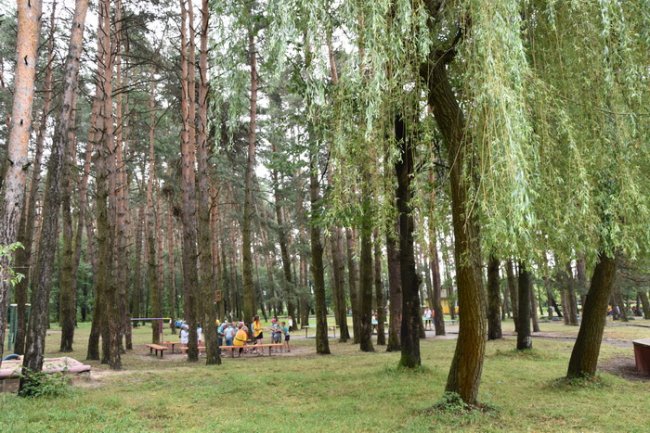 Луцьким дітям влаштували безкоштовний відпочинок у таборі