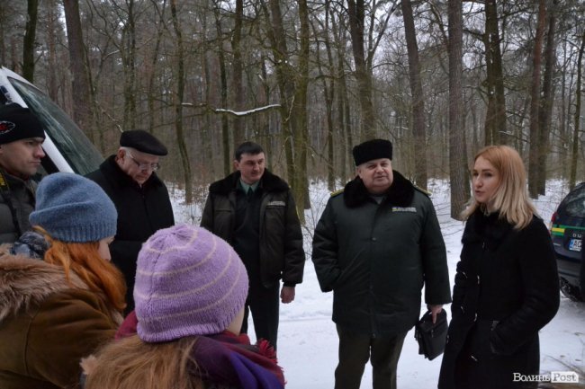 Банк насіння, плантації, шишкосушарки: як на Волині готують «нові ліси»