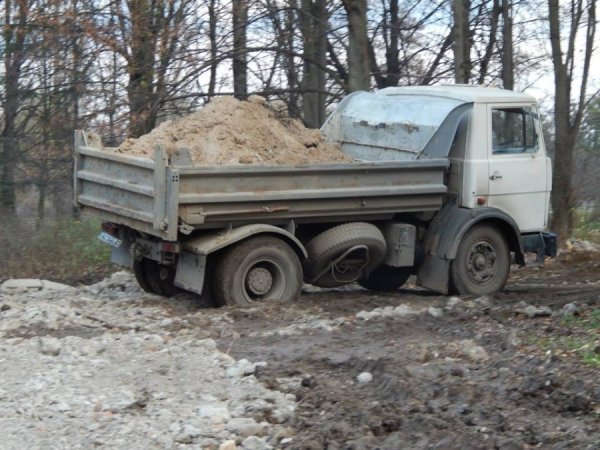 Як зоопарк у Луцьку готують до реконструкції. ФОТО