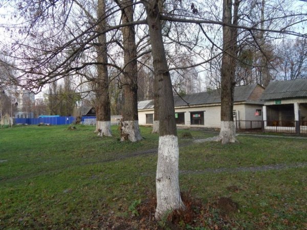 Як зоопарк у Луцьку готують до реконструкції. ФОТО