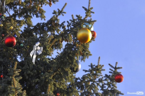Новий Рік приходить: Луцькі ялинки прикрашають