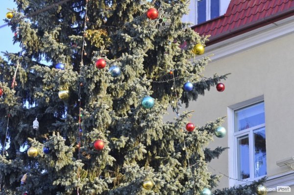 Новий Рік приходить: Луцькі ялинки прикрашають