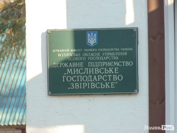 В лісі на Волині знайшли рештки зубра. ФОТО