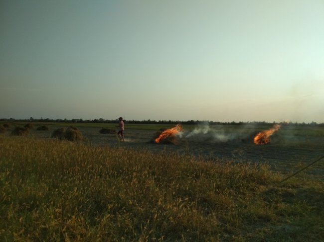 На Волині «на гарячому» зловили паліїв
