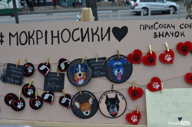 Фестиваль «Мокрі носики» біля луцького «Променя»: як безпритульним пухнастикам шукали дім. ФОТО