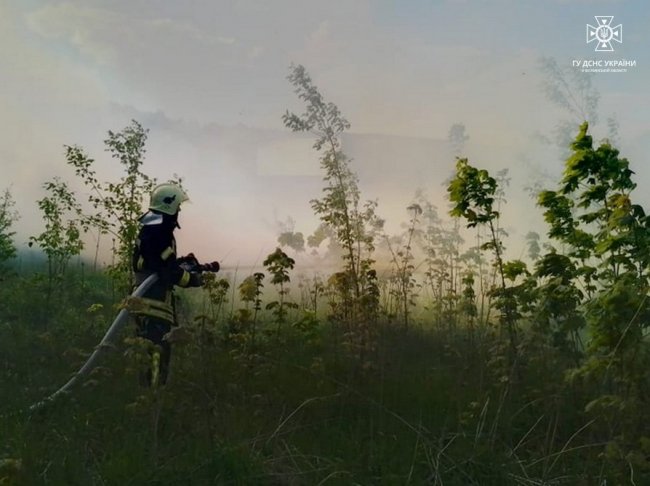 На Волині через електроприлад загорілася суха трава. ФОТО