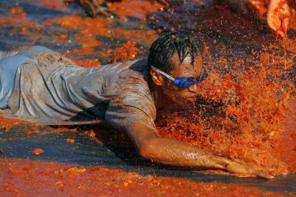 Бої помідорами в США. ФОТО