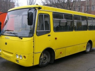 У Луцьку назвали найчастіші порушення перевізників