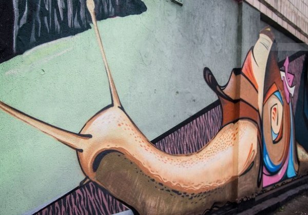 Як на будинку в Луцьку з'явився кількаметровий равлик. ФОТО