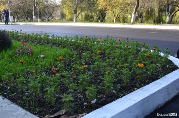 У Луцьку відкрили диспетчерську для швидких. ФОТО