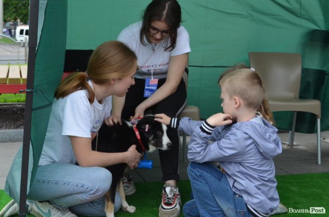 Фестиваль «Мокрі носики» біля луцького «Променя»: як безпритульним пухнастикам шукали дім. ФОТО