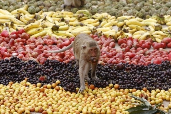 Найяскравіші і найвидовищніші фестивалі світу. ФОТО
