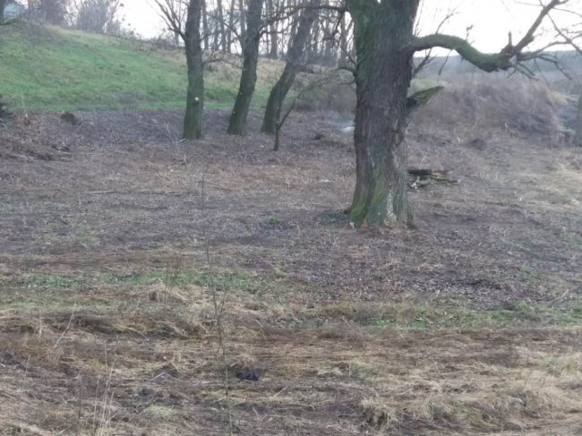 Жителі села під Луцьком розчистили берег річки. ФОТО