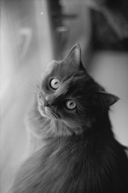 Фотовиставка Діани Шишкової-Морозюк