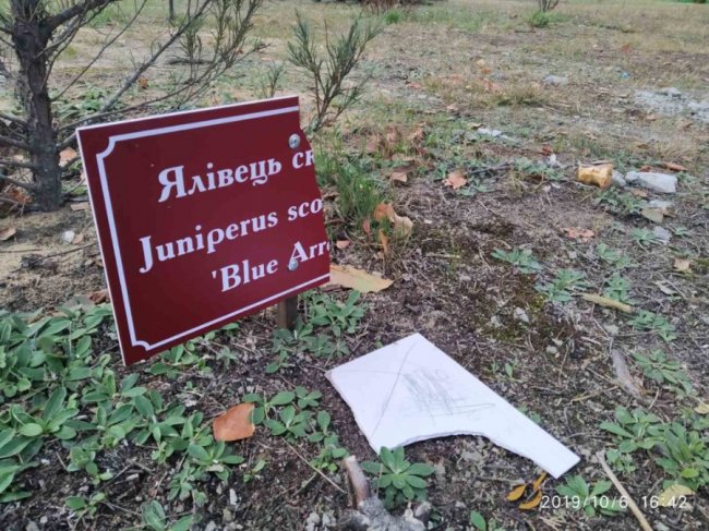 На Волині вандали пошкодили новостворений дендропарк. ФОТО