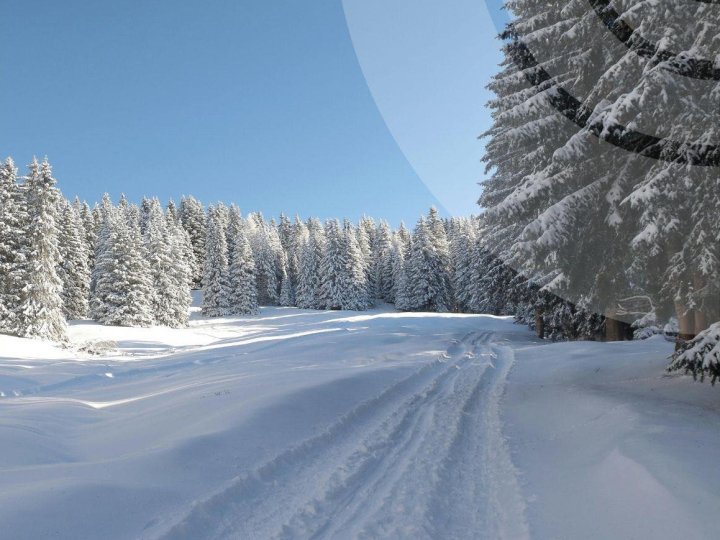 Якою буде погода на Волині у п'ятницю, 16 січня