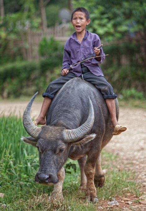 Краще ніж мопед