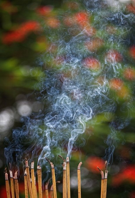 На догоду богам