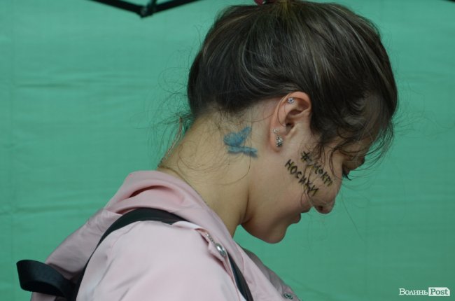 Фестиваль «Мокрі носики» біля луцького «Променя»: як безпритульним пухнастикам шукали дім. ФОТО