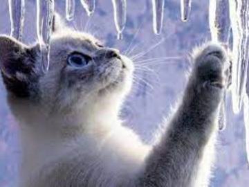 Погода в Луцьку та Волинській області на завтра, 1 лютого