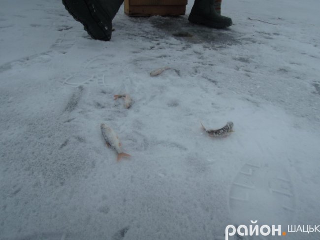 На Шацьких озерах триває риболовний сезон. ФОТО