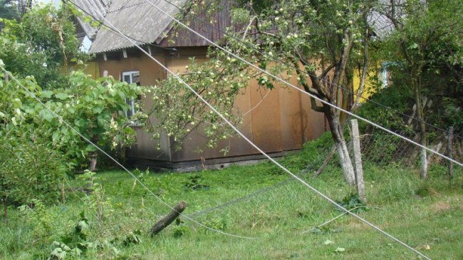 Повалені дерева, пошкоджений будинок і зупинка: у районі на Волині буревій наробив лиха. ФОТО