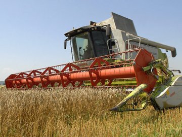 Волинь – у лідерах за врожайністю зернових в Україні