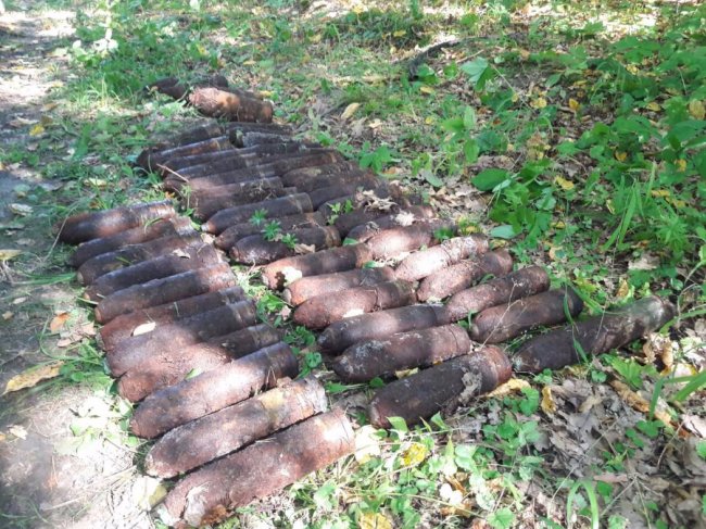 Волинські рятувальники знищили півсотні боєприпасів