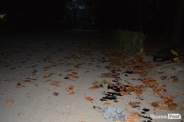 «Брудні» наслідки смолоскипної ходи у Луцьку. ФОТО