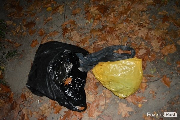 «Брудні» наслідки смолоскипної ходи у Луцьку. ФОТО