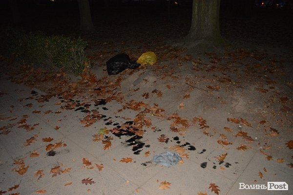 «Брудні» наслідки смолоскипної ходи у Луцьку. ФОТО