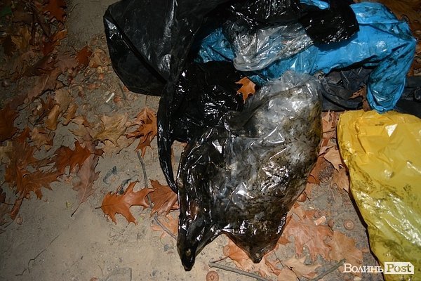 «Брудні» наслідки смолоскипної ходи у Луцьку. ФОТО