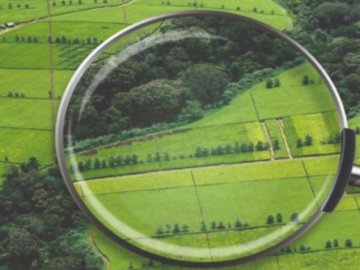 На Волині прокурори вимагають конфіскувати 17 земельних ділянок у громадян росії