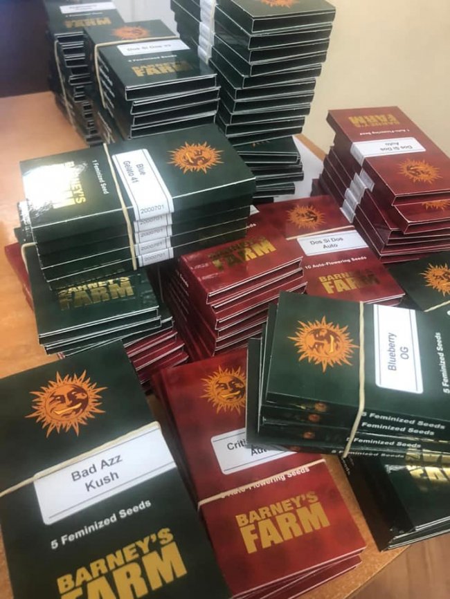 На волинській митниці у рейсовому автобусі знайшли понад сотню упаковок насіння коноплі. ФОТО