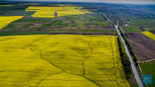 Різнобарвні краєвиди Волині з висоти пташиного польоту. ФОТО. ВІДЕО