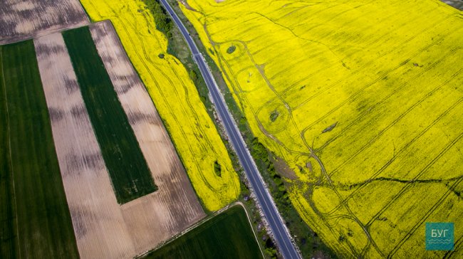 Різнобарвні краєвиди Волині з висоти пташиного польоту. ФОТО. ВІДЕО