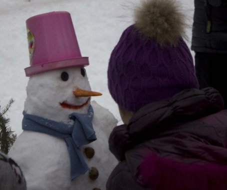 У Вінниці зліпили майже 300 сніговиків. ФОТО