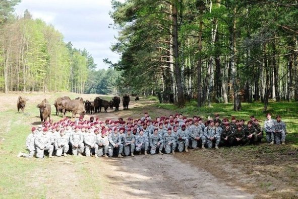 Польські і американські солдати  - на кордоні Білорусі. ФОТО