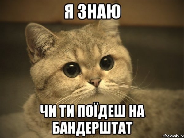 В інтернеті малюють меми та комікси про «Бандерштат»