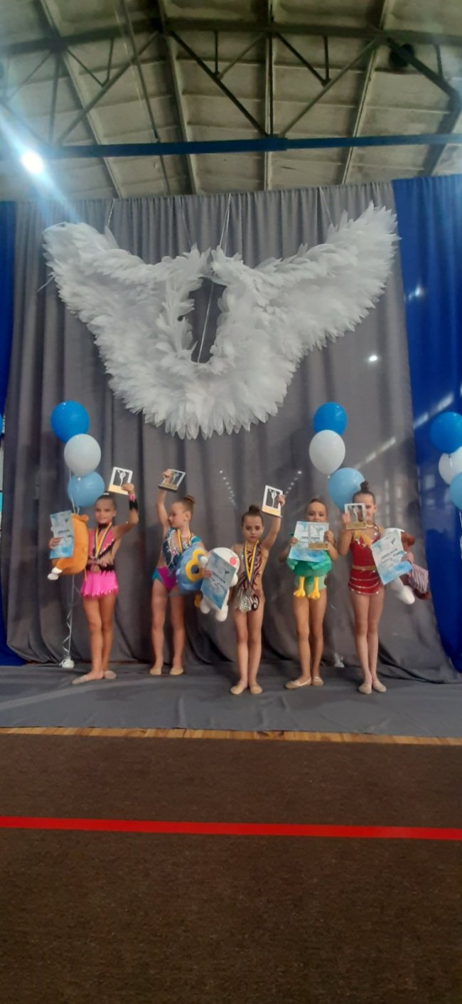 Юні гімнастки з Волині змагались у Львові та Луцьку: назвали переможців