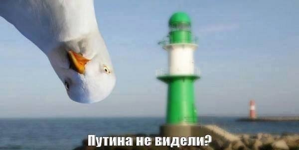 Таємниче зникнення Путіна: секретний план, хвороба чи смерть? ФОТОЖАБИ